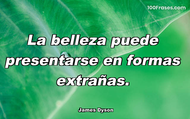 La belleza puede presentarse en formas extrañas.