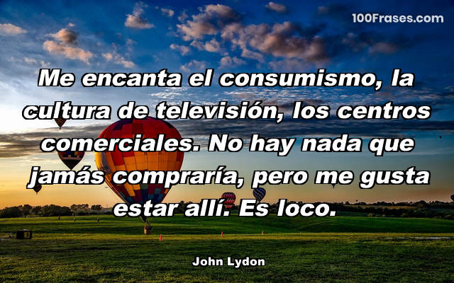 Me encanta el consumismo, la cultura de televisión, los centros comerciales. No hay nada que jamás compraría, pero me gusta estar allí. Es loco.